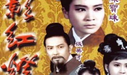 血影红灯国语在线观看,惊悚悬疑，揭秘黑暗中的复仇之谜